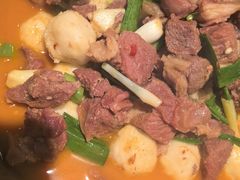 -洞庭家宴·头牌甲鱼(广渠门店)