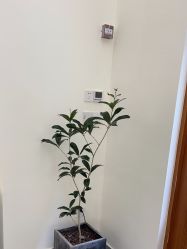 -瞬间漂亮·化妆造型(北滨路店)