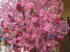 -黄师傅湿辣牛肉(胡桃里店)