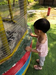 -萌宠亲子动物乐园(槐房万达店)