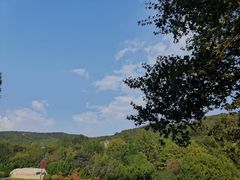-棒棰岛宾馆景区