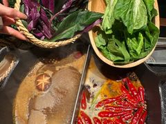 -大龙燚·旷野鲜火锅(广州首店)