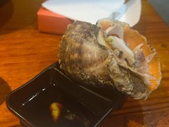 韩式海螺-丹东特色烤肉(学府路一部店)