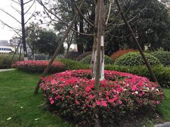 -温江公园
