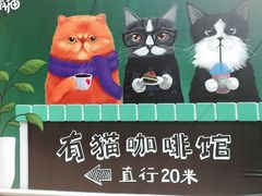 -有猫主题·治愈系猫咖(曾厝垵店)