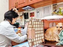 -美联众合动物医院·24h转诊中心