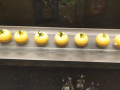 -宛平九号