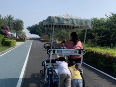-大湾区中央湿地公园