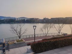 -羊山湖公园