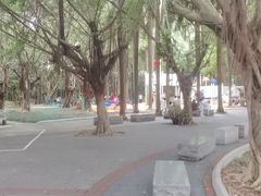-南宁南湖公园