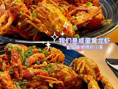 -旺小胖小龙虾