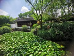 -上海醉白池公园