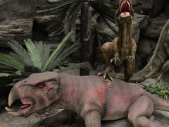 -国家自然博物馆