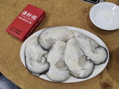 横琴肥蚝-濠轩阁特色生蚝火锅总店