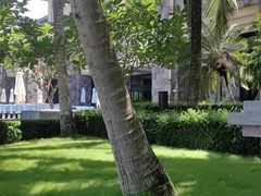 -海南清水湾莱佛士酒店