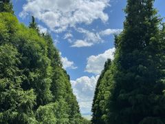 -捞渔河湿地公园
