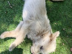 -新怡路亚垂钓园