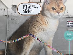 -方浜中路45弄小区