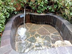 -西安国际创新人才交流中心•药浴温泉