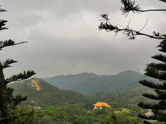 -宝莲禅寺