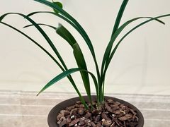 -泰康之家·申园