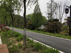 -黄陂区野村谷景区
