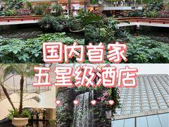 -广州白天鹅宾馆