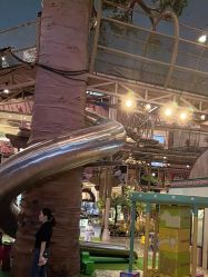 -卡通尼·Safari非洲探索乐园·生日会(金桥国际商业广场店)