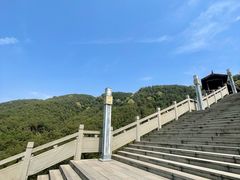 -铁山坪森林公园
