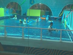-海帆亲子游泳(茂业中心)