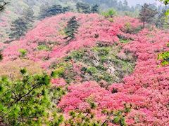 -木兰云雾山