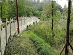 -重庆彩云湖湿地公园