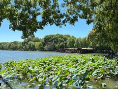 -西湖外事游船(花港观鱼码头)