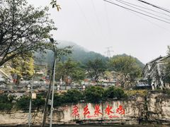 -老幺泉水鸡