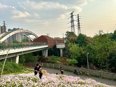 -白鹭湾湿地公园