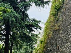 -紫金山山顶公园