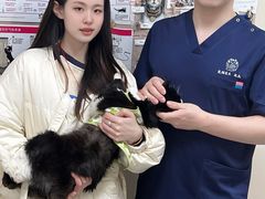 -美联众合爱康动物医院•复杂内科•肿瘤科•牙科•腔镜诊疗中心