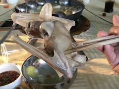 -卡塞拉自然公园