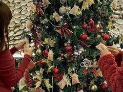 -普朗姆生蚝牛排馆 The Plump Oyster(成都摩方购物中心店)