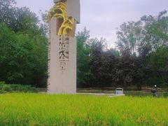 -北坞公园