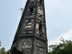 -上海佘山国家森林公园天马山园