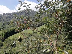 -敬亭山风景名胜区