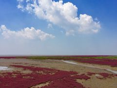-红海滩国家风景廊道