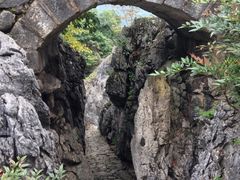 -千岛湖石林