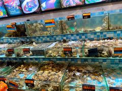 水产区-四海蒸鲜蒸汽海鲜自助(北戴河店)