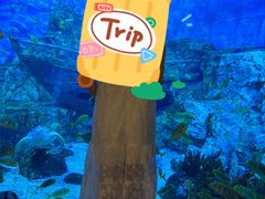 -横店影视城梦幻谷园区