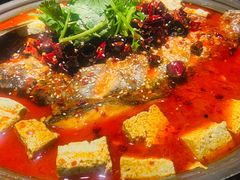 -师烤·豆花烤鱼(广州荔湾扬韬广场店)