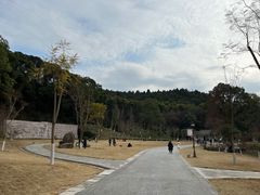 -富乐山