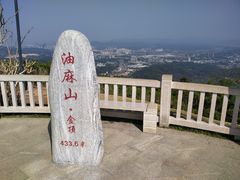 -黄埔油麻山森林公园