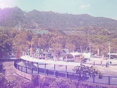 -深圳东部华侨城瀑布酒店